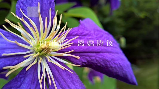 婚内出轨 离婚协议 婚内出轨 离婚协议